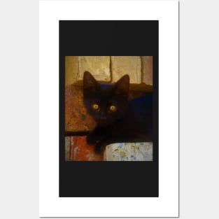 Black Kitten Posters and Art